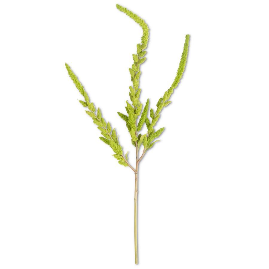 
                      
                        37" Green Amaranthus Stem
                      
                    