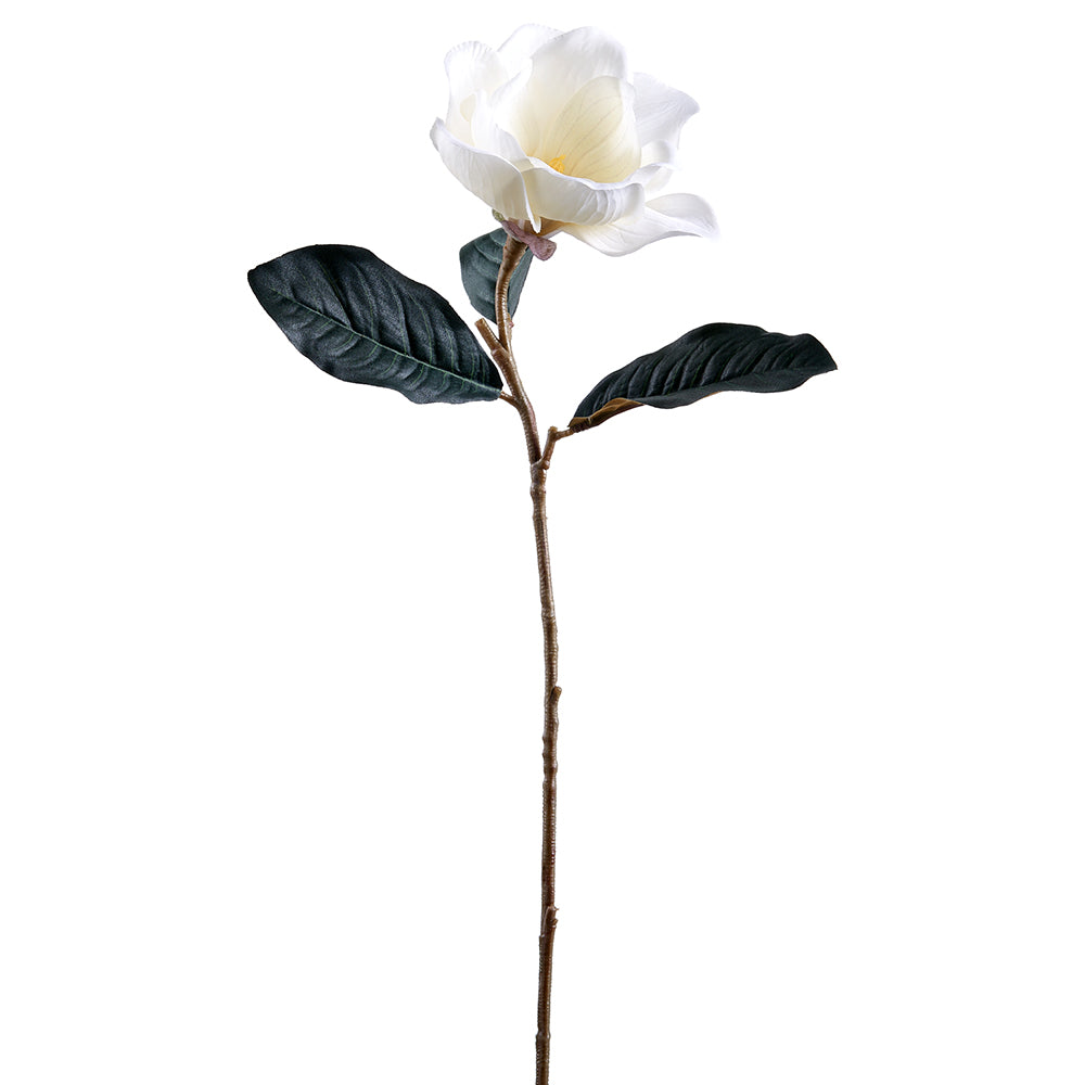 Magnolia Spray Stem - Cream