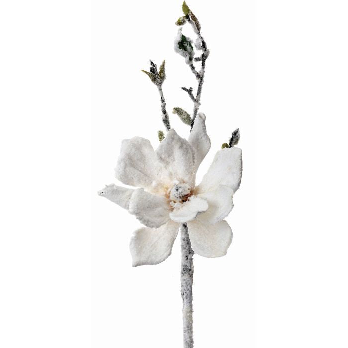 18" Snowed Magnolia
