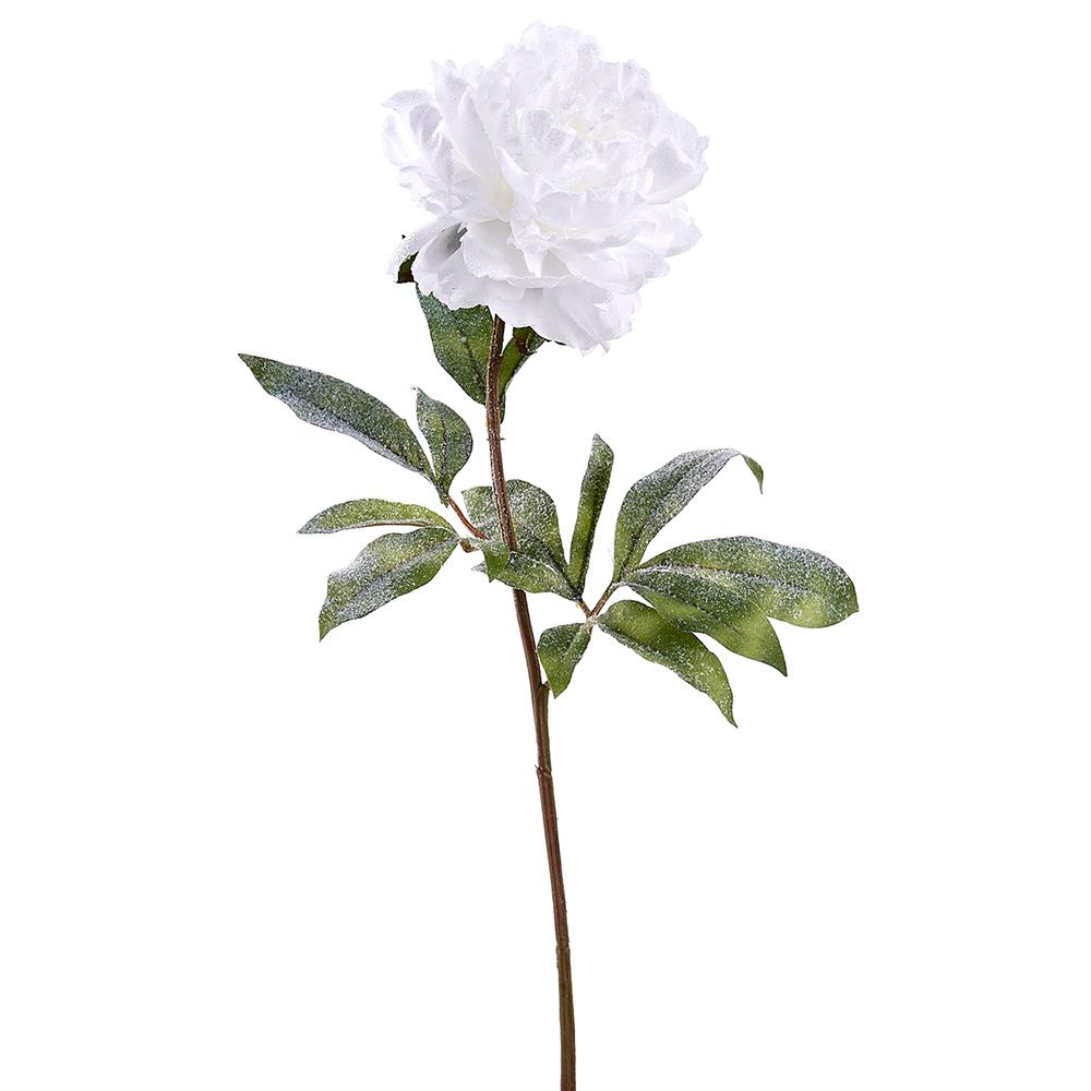 Snowed Peony Spray
